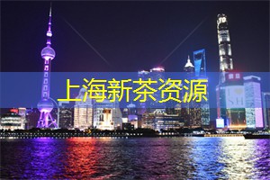 上海最美夜景视频